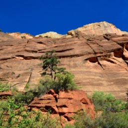 The trail inside the crack /
		    